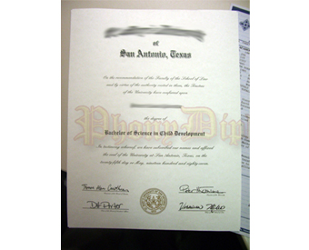 Fake Diploma Vertical With Raised Gold Foil Seal